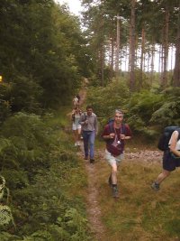 Swinley Forest